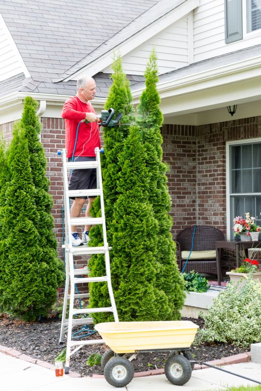 Apple Tree Trimming Cost — Cost of Apple Tree Trimming